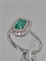 Anneau Gemoro Femme Smeraldi in Or blanc Smeraldo TAC445B.SM